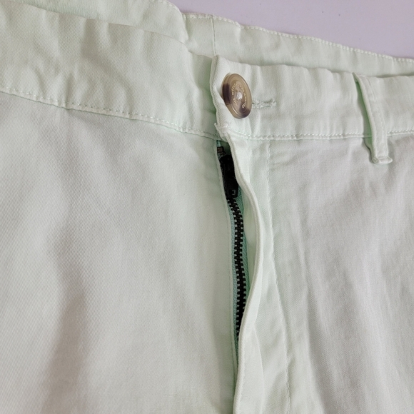 Chubbies The Sea Foams Green 5.5" Flat Front Stretch Twill Shorts Sz 34 NEW - Picture 4 of 14